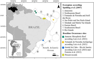 Lionfish on the loose: Pterois invade shallow habitats in the tropical southwestern Atlantic